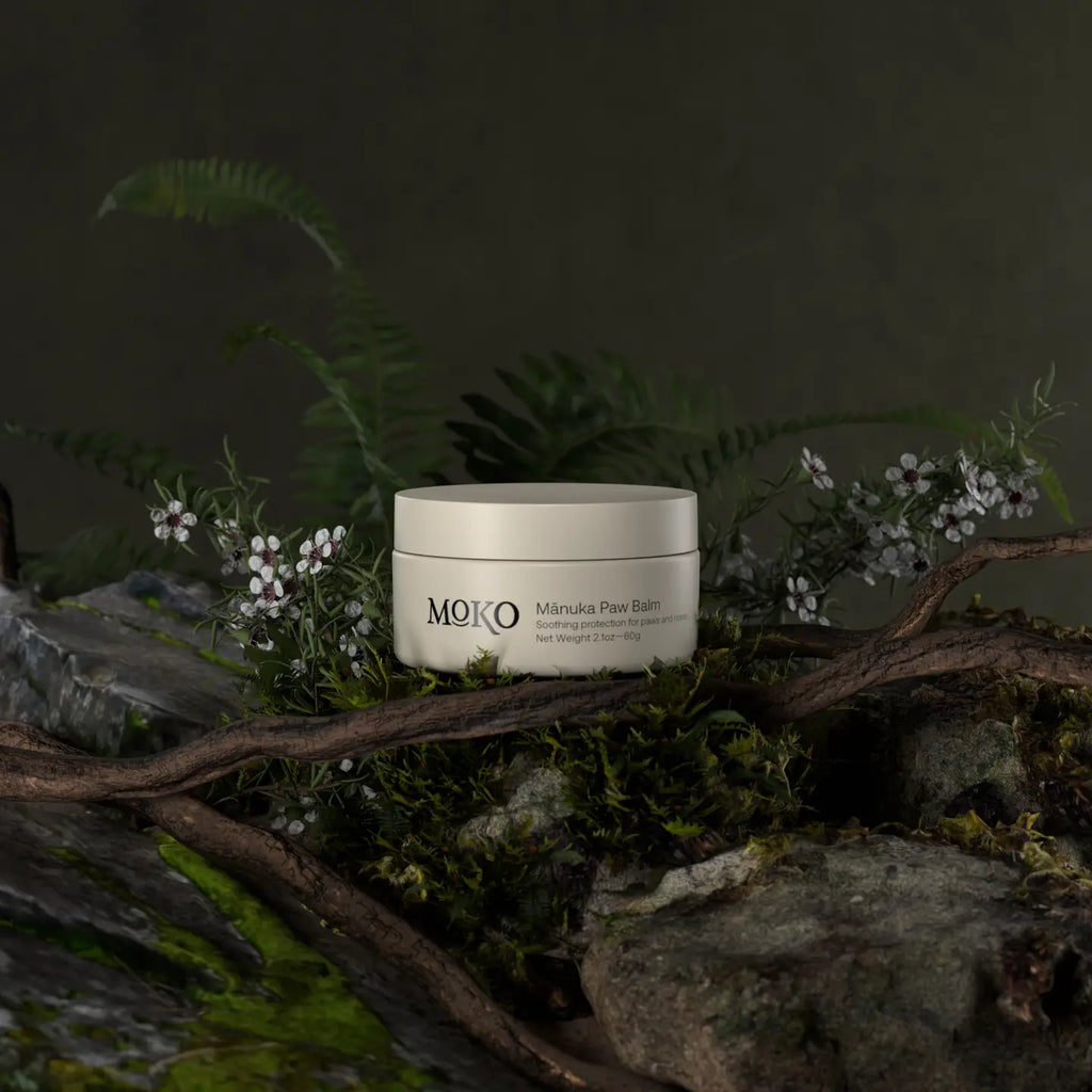 Moko | Balsamo Zampe al Miele di Manuka