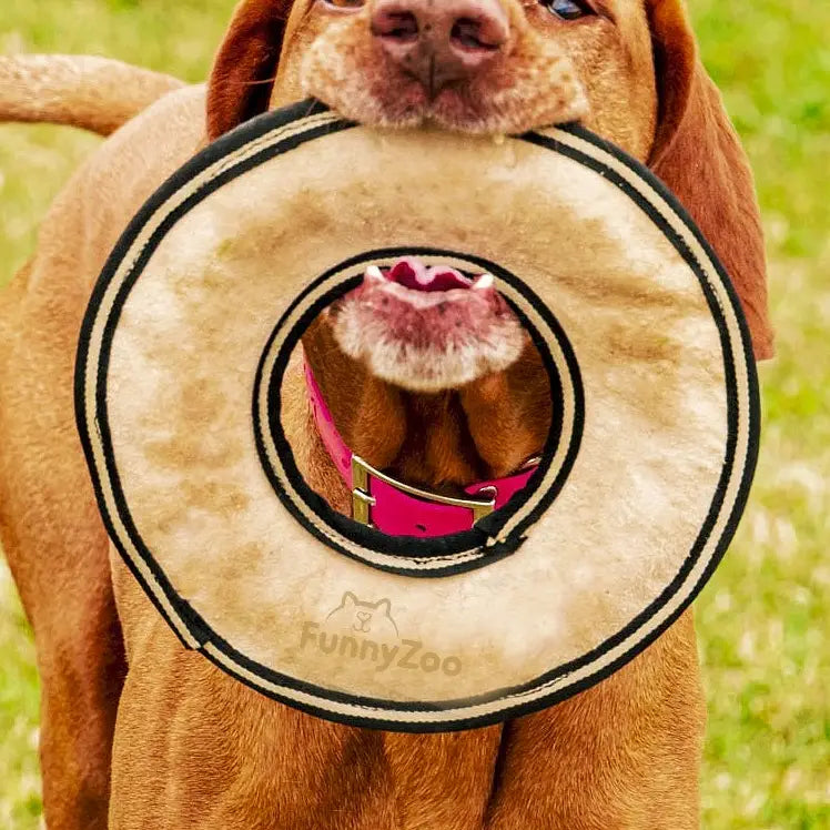 Frisbee in Camoscio
