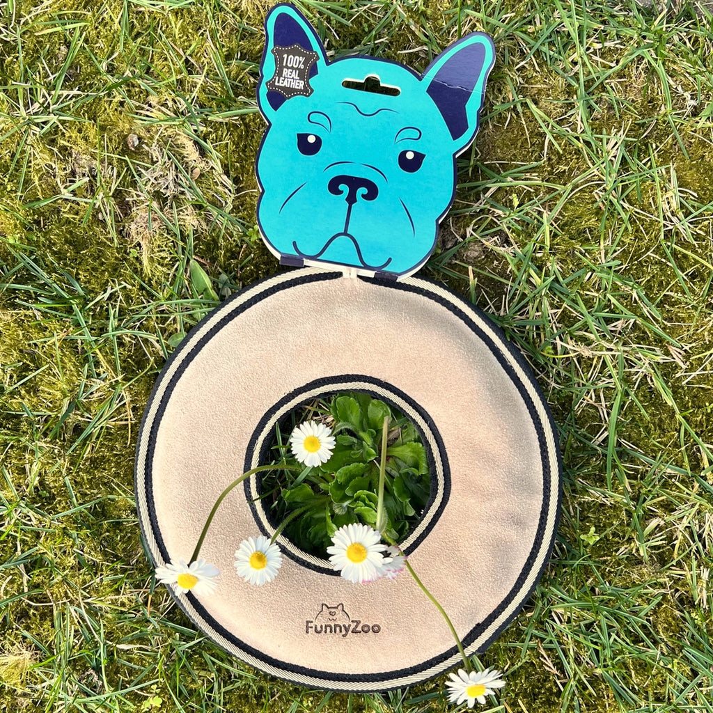 Frisbee in Camoscio