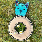 Frisbee in Camoscio