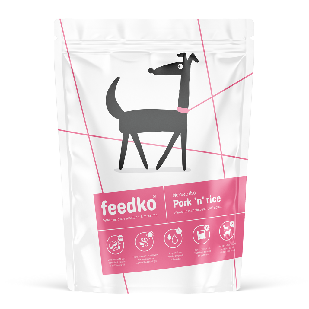 FEEDKO | Pork 'n Rice