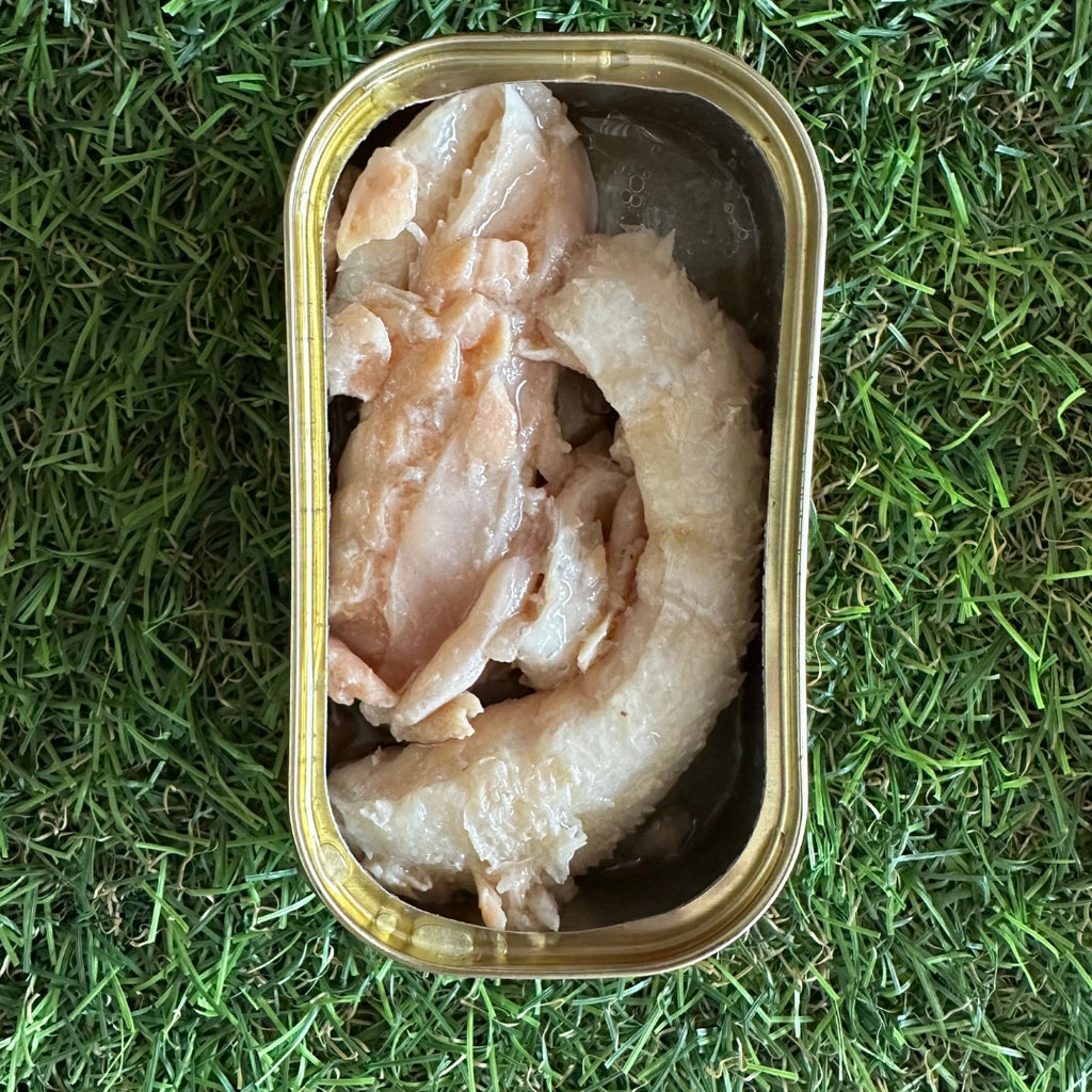 Canumi Cat | Salmone al Naturale